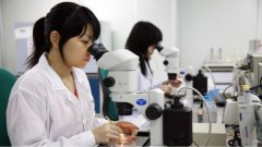 肚子里的宝宝可以做亲子鉴定吗