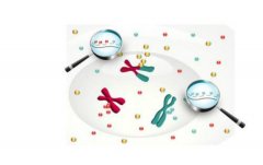 医院做无创亲子鉴定要多少钱