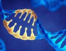 ​DNA亲子鉴定常见问题