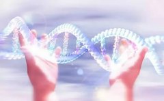 无创产前DNA亲子鉴定怎么做