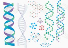 亲子鉴定样本相关知识