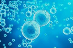 上户口亲子鉴定流程有哪些