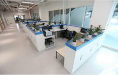 为什么需要DNA亲子鉴定