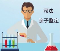 司法上户口亲子鉴定流程