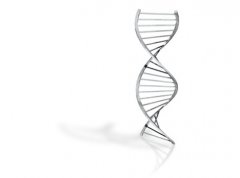 口腔试子样本做鉴定准确率高吗