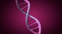 做亲子鉴定有多少钱