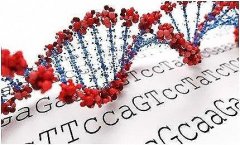 亲子鉴定最长多少天出结果