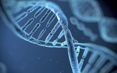 亲子鉴定结果单是什么样