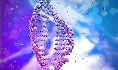 可以私下偷偷做亲子鉴定吗