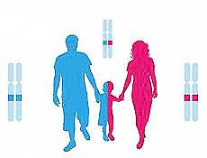 哪家医院正规做dna亲子鉴定