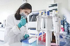 提供样本就可以做亲缘关系鉴定吗