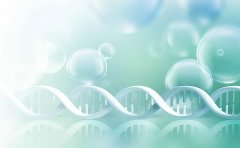 国内能私下去做亲子鉴定吗