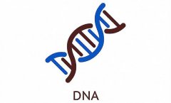 亲子鉴定的应用