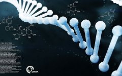 华医亲子鉴定需要提供哪些样